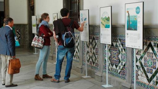 Exposición